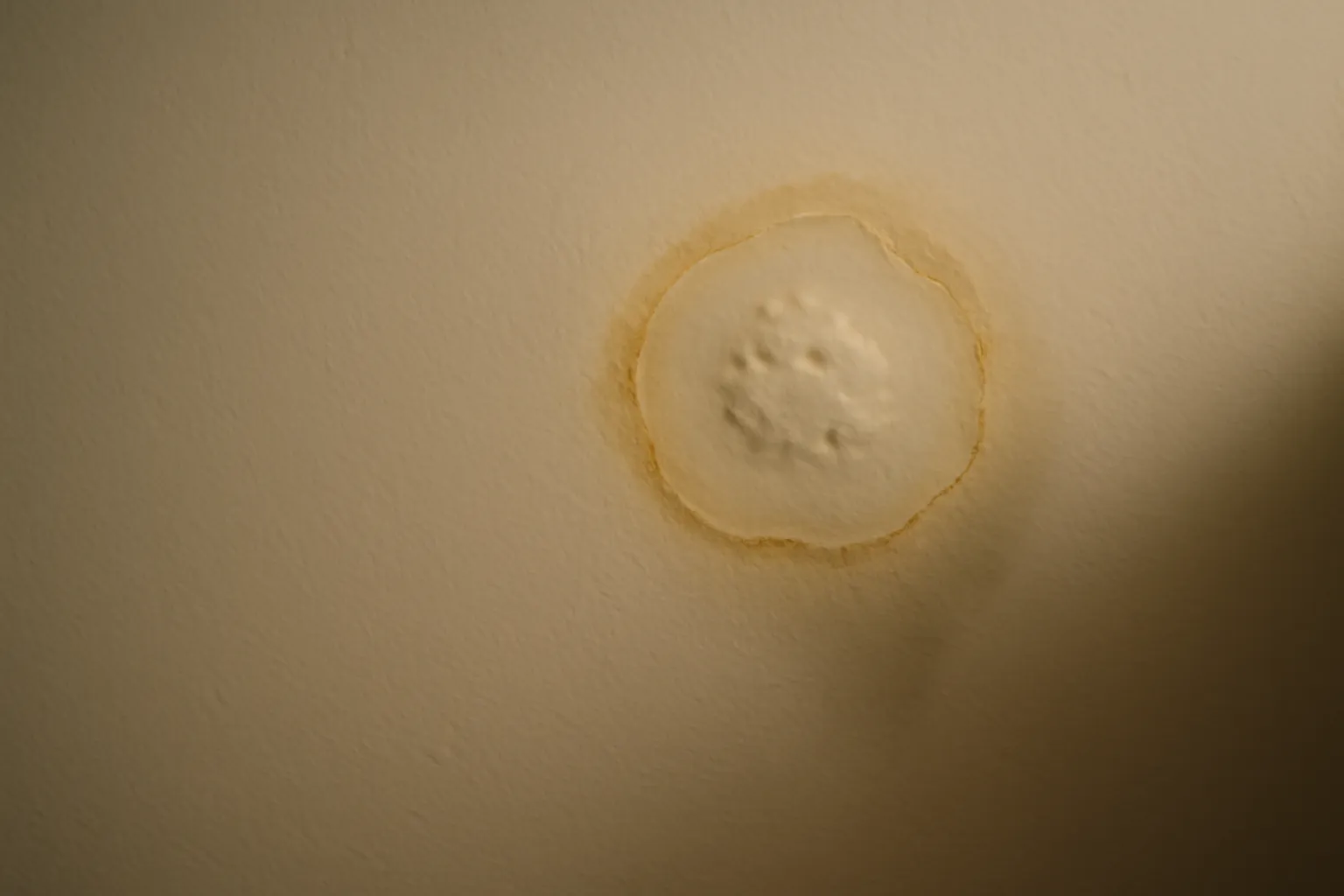 How to Spot a Slow Leak Before It Becomes a Disaster